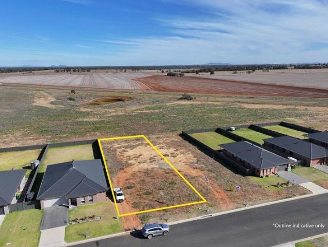 Land for sale in Bedgerabong, New South Wales