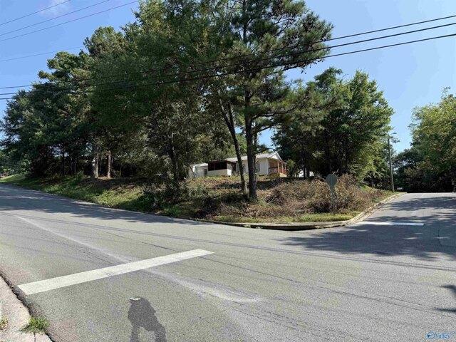 Land for sale in Guntersville