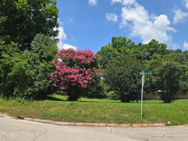 Land for sale in Tennessee