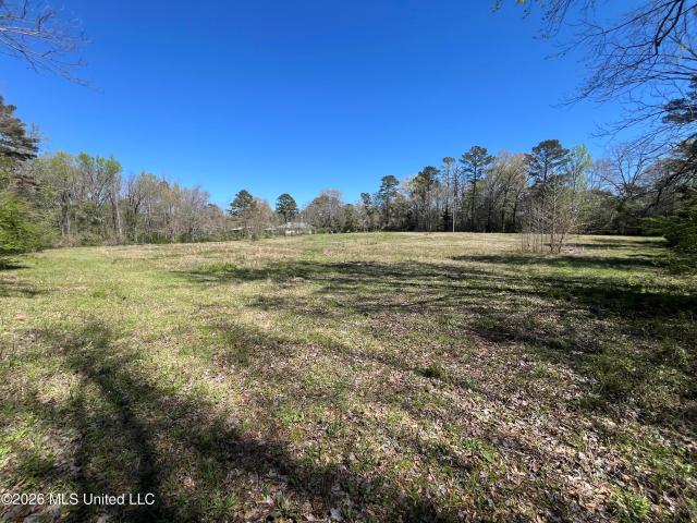 Land for sale in Raymond, Mississippi
