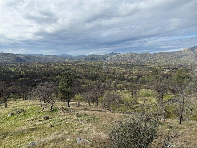 Land for sale in Raymond