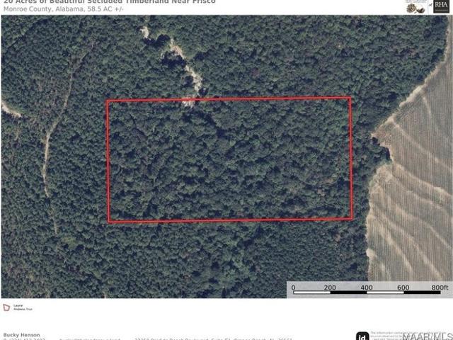 Farm for sale in Frisco City, Alabama