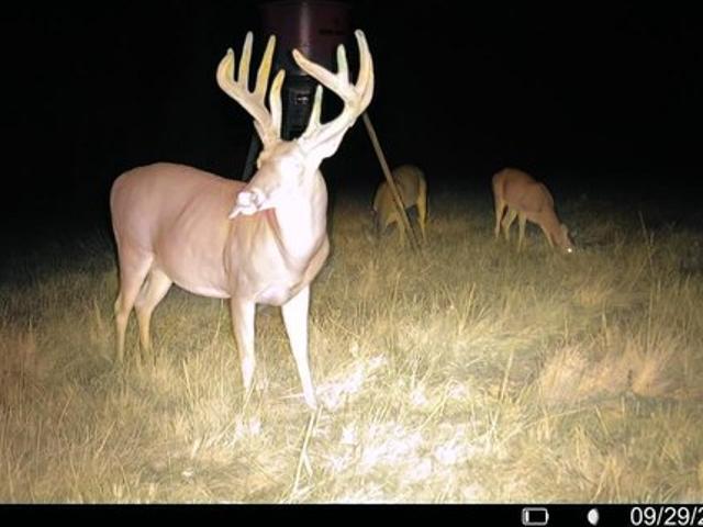 Land for sale in Jackson, Mississippi