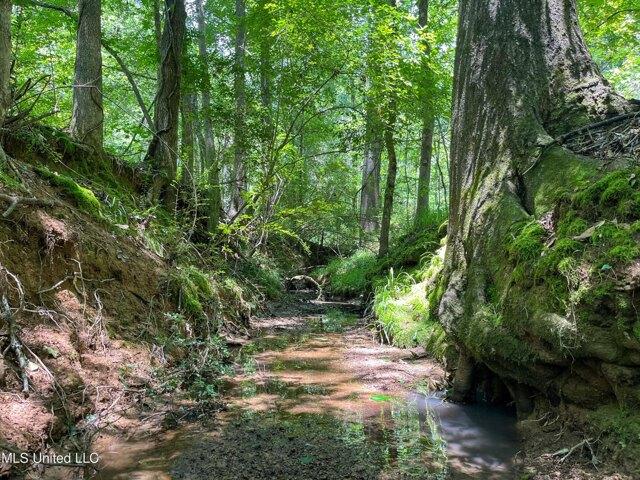 Land for sale in Jackson