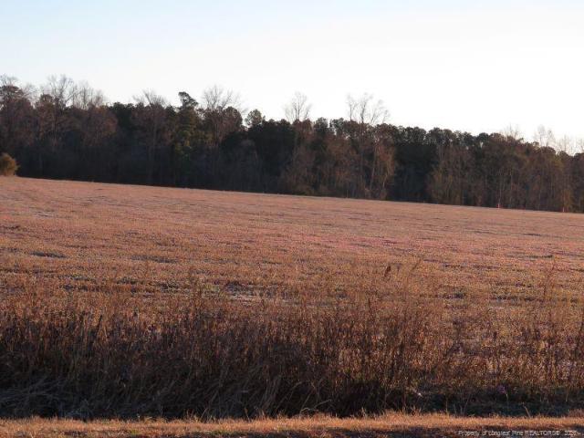 Land for sale in Fairmont, North Carolina