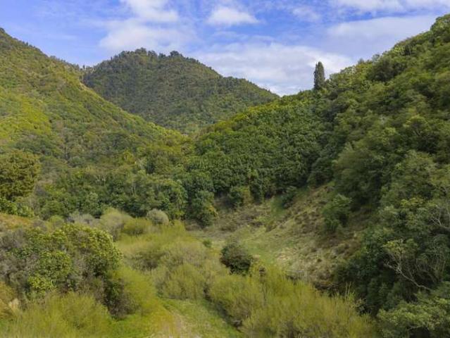 Property for sale in Ōpōtiki District, Bay of Plenty