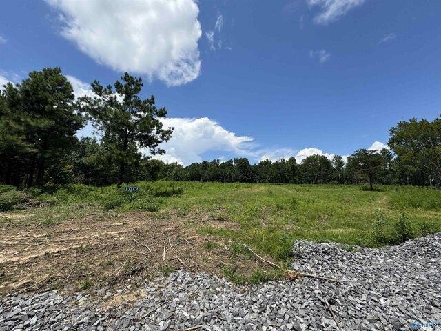 Land for sale in Albertville Land for sale in Albertville