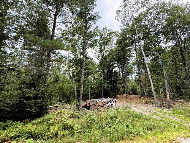 Land for sale in Washington, Knox County