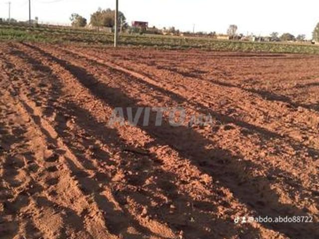 Propriété vente à El Ma, Gharb-Chrarda-Beni Hssen