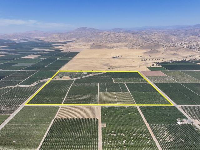 Farm for sale in Orange Cove, California