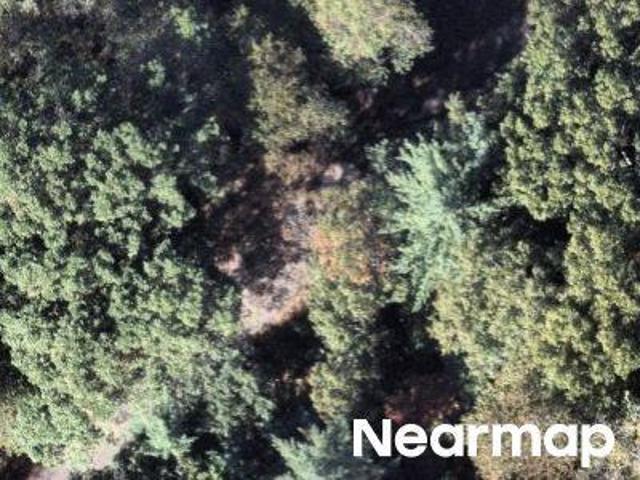 Land for sale in Murphy, North Carolina