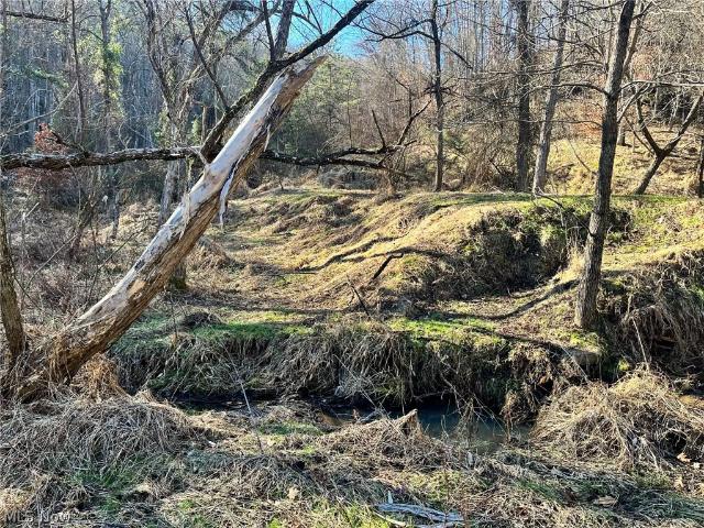 Land for sale in Cottageville, West Virginia