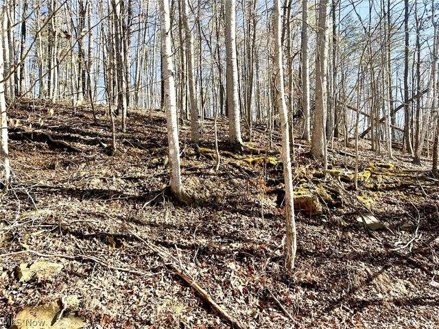 Land for sale in Cottageville, West Virginia