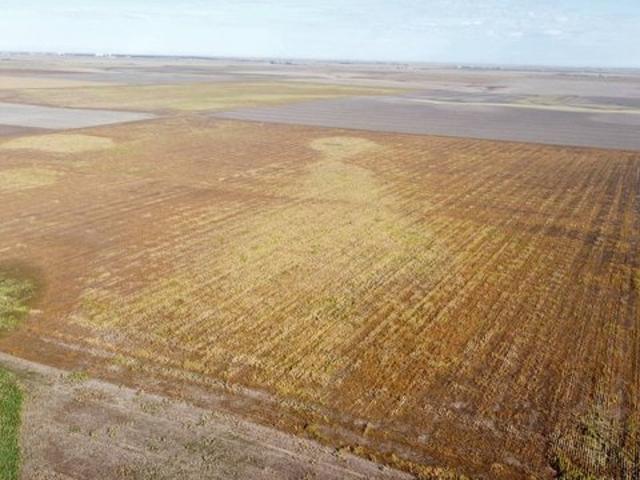 Land for sale in Goodland, Sherman County