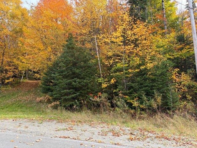 Land for sale in Fort Kent Mills, Fort Kent