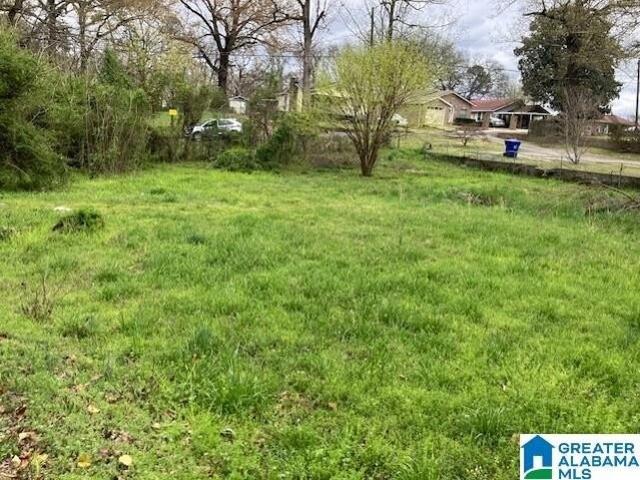 Land for sale in Midfield