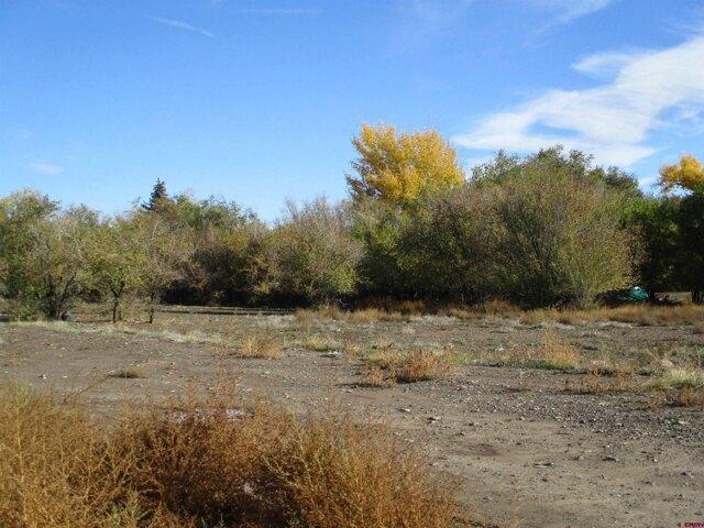 Land for sale in Delta, Colorado