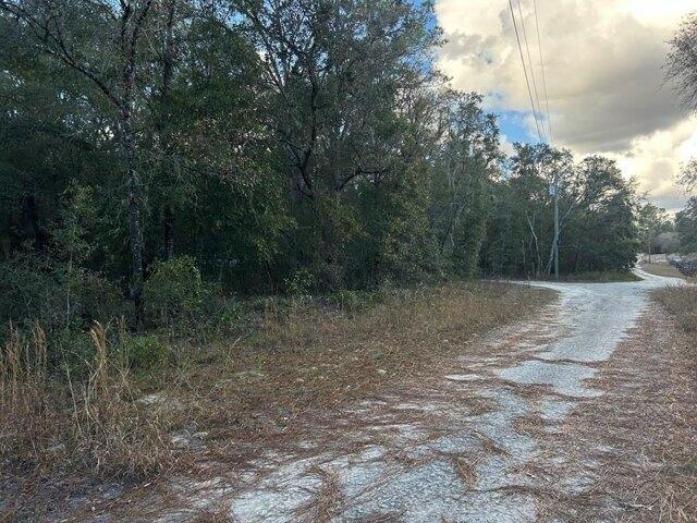 Land for sale in Bronson