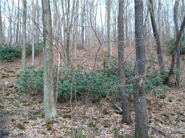 Land for sale in Indian Head, Pennsylvania