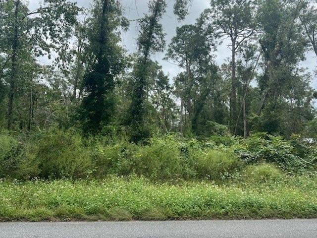 Land for sale in Live Oak