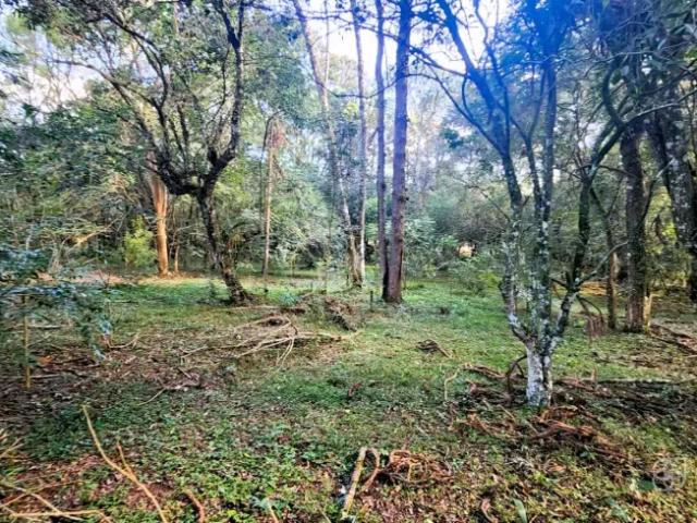 Fazenda venda em Região Geográfica Imediata de Ponta Grossa, Carambei