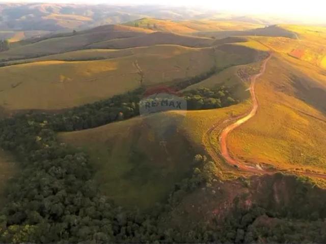 Fazenda venda em Região Geográfica Imediata de Piumhi, São Roque de Minas