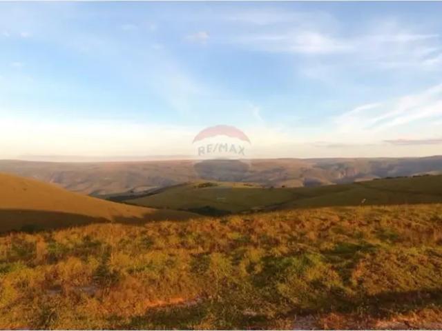 Fazenda venda em Região Geográfica Imediata de Piumhi, São Roque de Minas