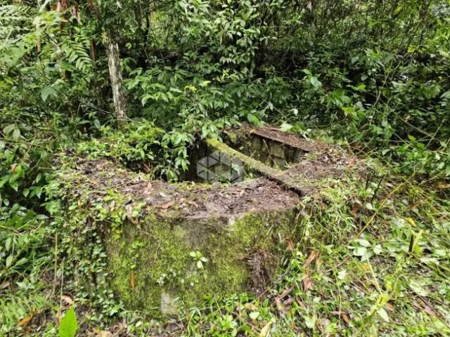 Fazenda venda em Região Geográfica Imediata de Bento Gonçalves, São Valentim do Sul