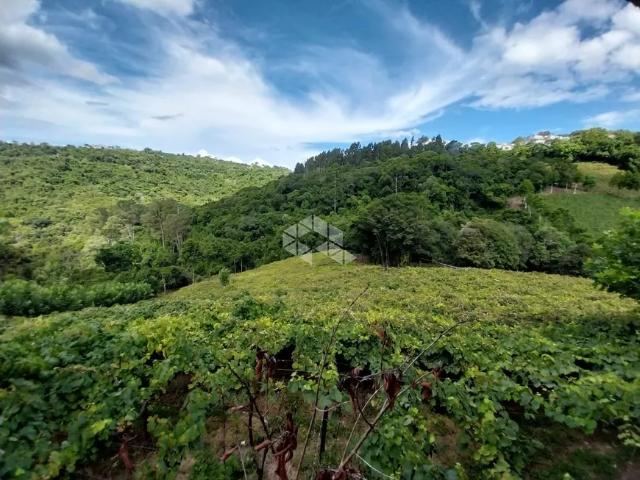 Fazenda venda em Região Geográfica Imediata de Bento Gonçalves, Bento Gonçalves