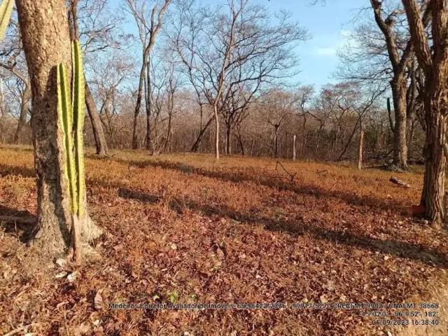 Fazenda venda em Região Geográfica Imediata de Cuiabá, Região Metropolitana do Vale do Rio Cuiabá