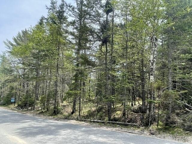 Land for sale in Deer Isle, Maine