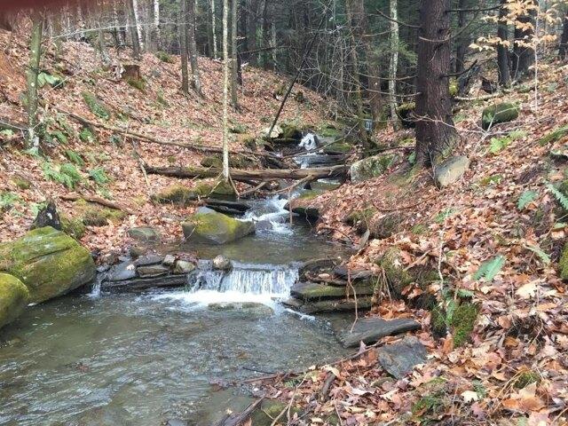 Land for sale in Reading, Vermont