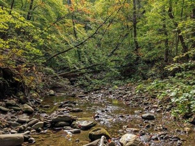 Land for sale in Reading, Windsor County