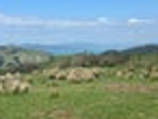 Land for sale in Waikato