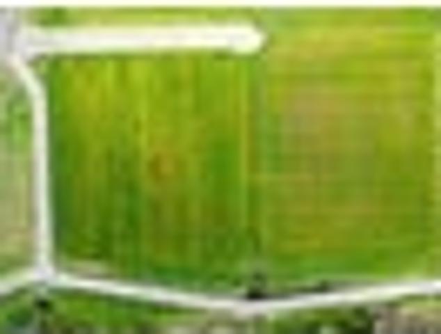 Land for sale in Saint Michaels, Bethlehem