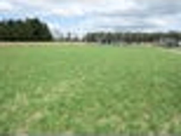 Land for sale in Waipukurau