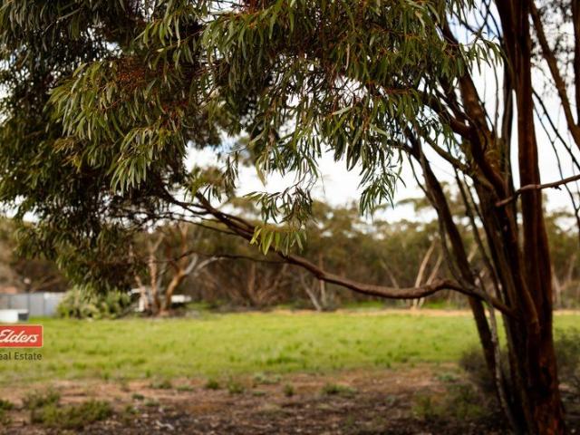 Land for sale in Burracoppin, Western Australia