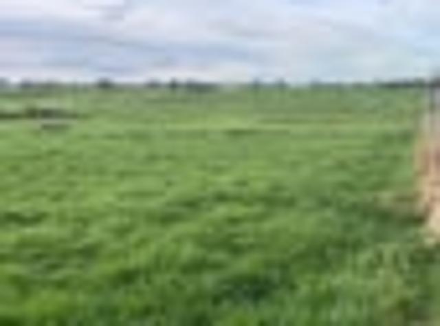 Land for sale in Waimate, Canterbury