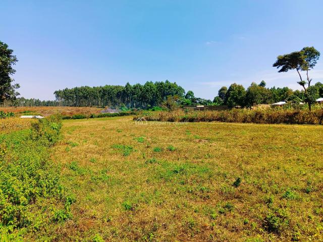 Land for sale in Kikuyu, Kiambu