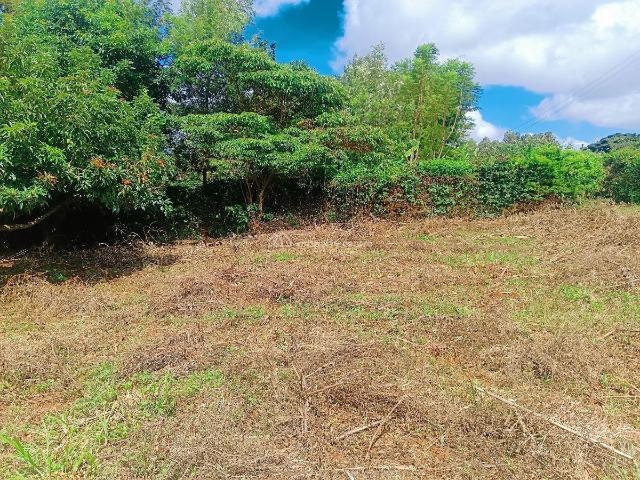 Land for sale in Kikuyu, Kiambu