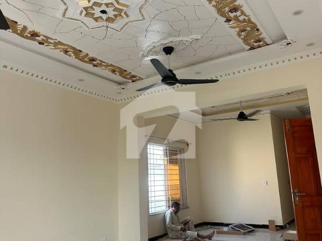 Property for rent in اسلام آباد, زون 1