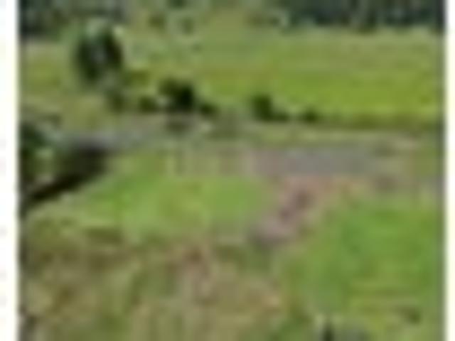 Land for sale in Ruapehu District