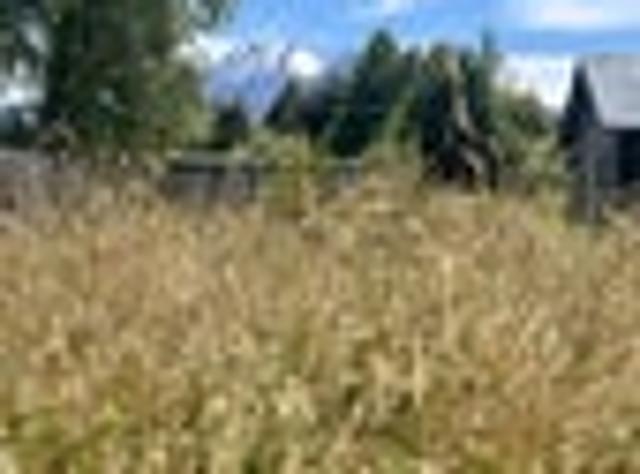 Land for sale in Ruapehu District