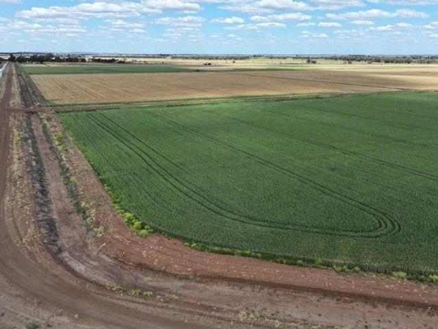 Property for sale in Widgelli, New South Wales
