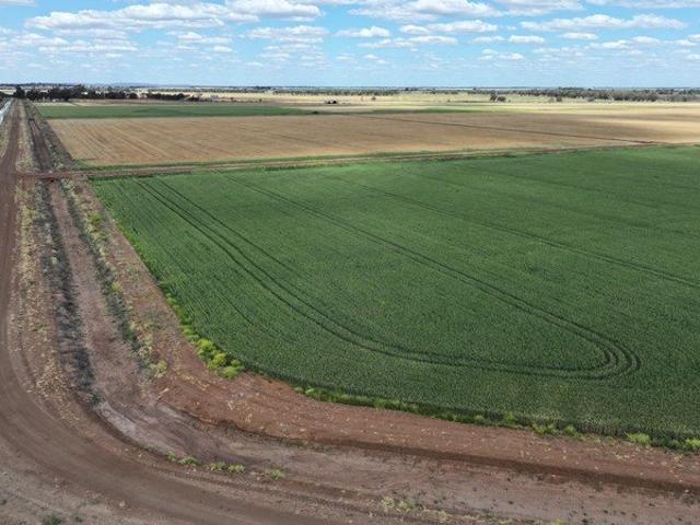 Property for sale in Widgelli, New South Wales
