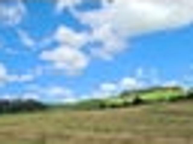 Land for sale in Northland