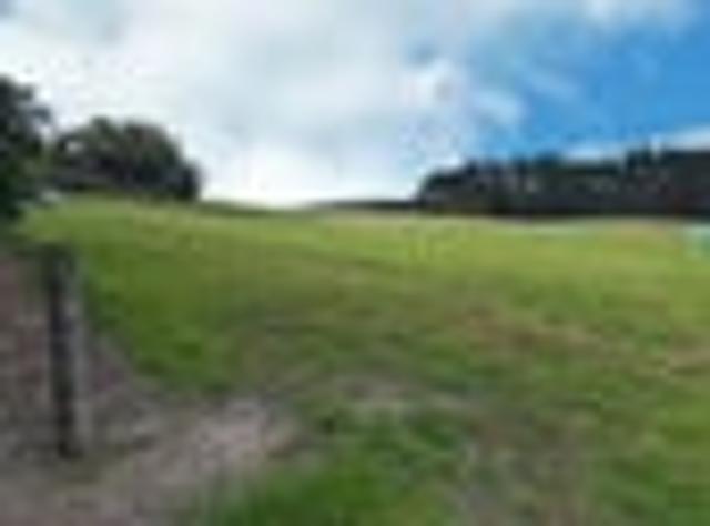 Land for sale in Northland