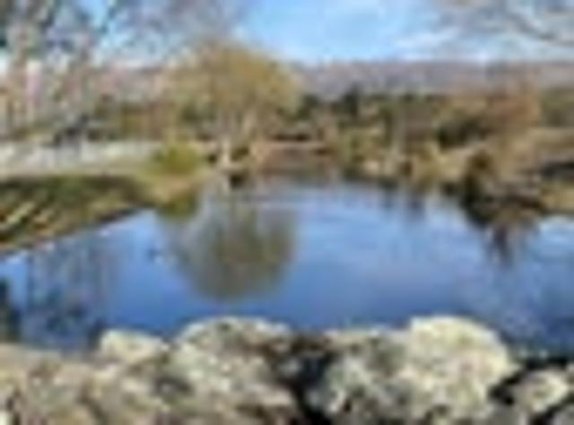 Land for sale in Otakou