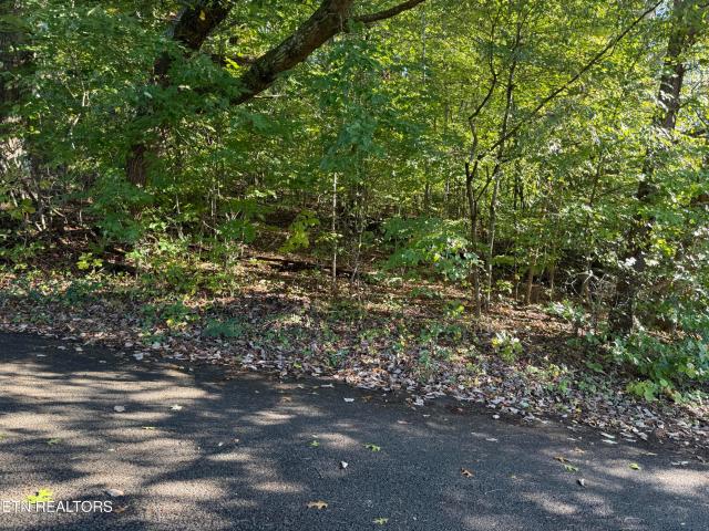 Land for sale in Tennessee
