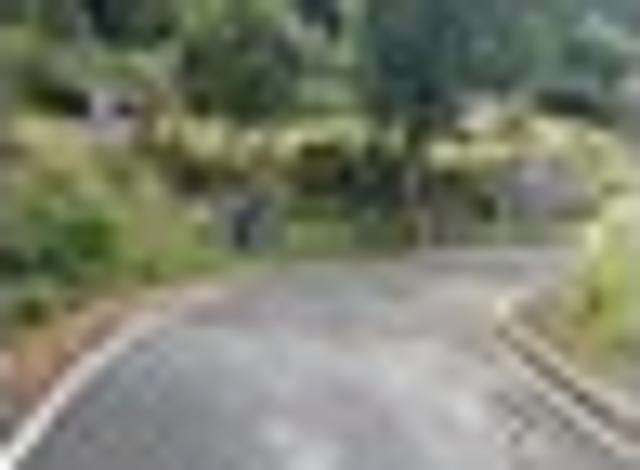 Land for sale in Otakou